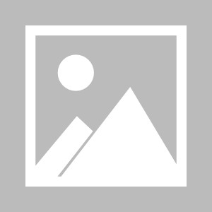 2025男篮亚洲杯直播在线观看高清直播：中国男篮vs新西兰男篮半决赛8.16